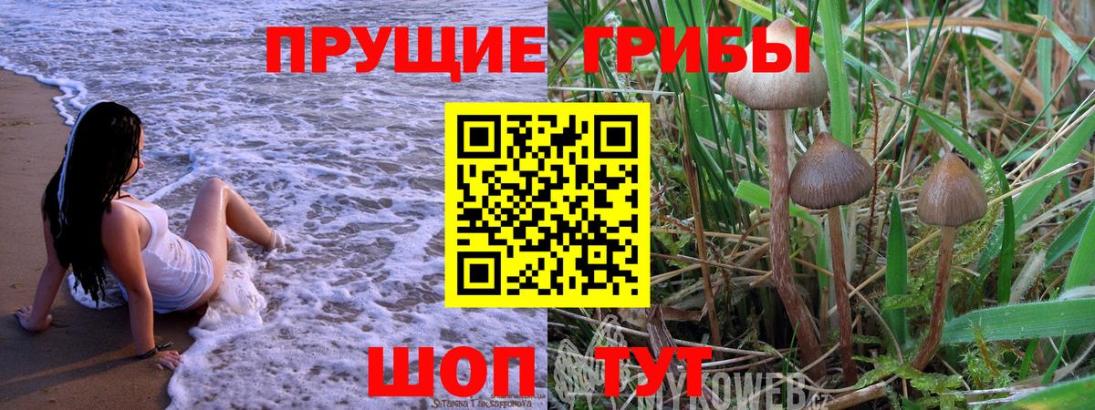 Псилоцибиновые грибы MAGIC MUSHROOMS Глазов